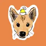しんせい不動産の看板犬モミジ