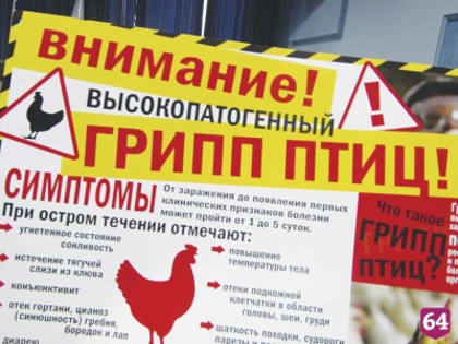 Профилактике гриппа птиц