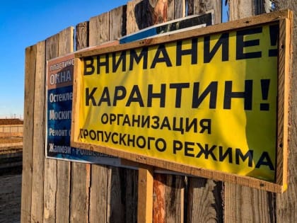 Три очага узелкового дерматита действует в Хакасии: что происходит?