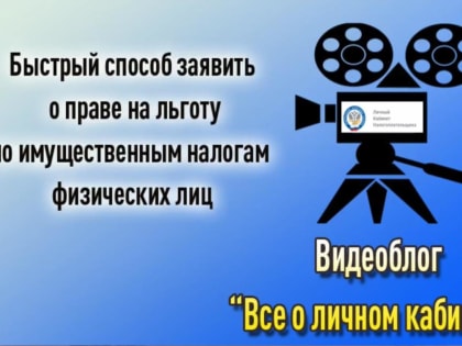 Подаем заявление на льготу по имущественным налогам физических лиц не выходя из дома