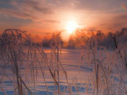 Погода в Хакасии 31 января: Спокойная прохладная погода