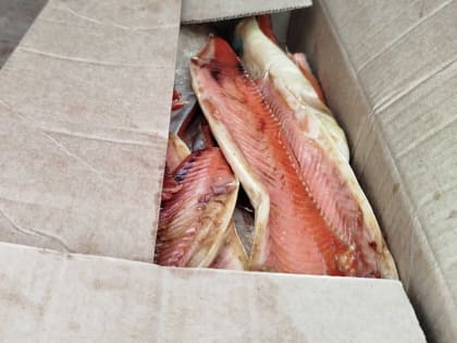 В Абакане обнаружили 1540 кг рыбопродукции без документов