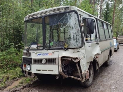 В Курагинском районе автобус с виссарионовцами влетел в дерево