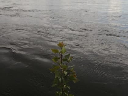 В Абакане спасли утопающего