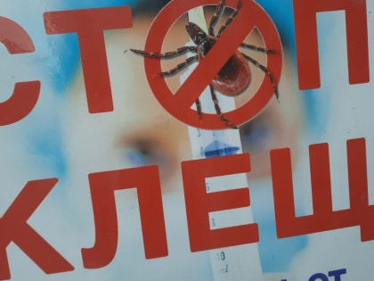 Житель Хакасии скончался от клещевого энцефалита