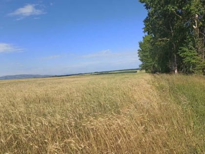 Погода в сентябре: жителям Хакасии и Красноярского края рассказали к чему приготовиться