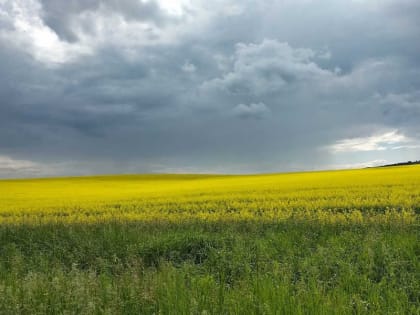 Погода будет "скакать" в Хакасии и на юге Красноярского края