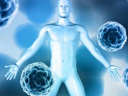 Врачи рассказали, как еда влияет на иммунную защиту организма