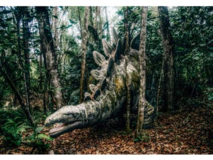 Виктор Боярский о немецких экспедициях в Арктику