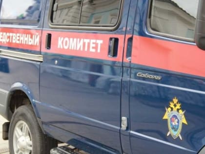 Убил, закопал и хотел продать авто: в Абакане раскрыто убийство