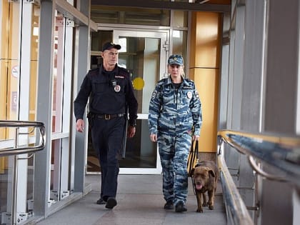 И служба, и дружба