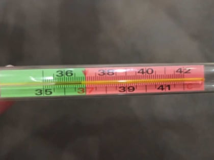 Коронавирус "валит с ног" жителей Хакасии