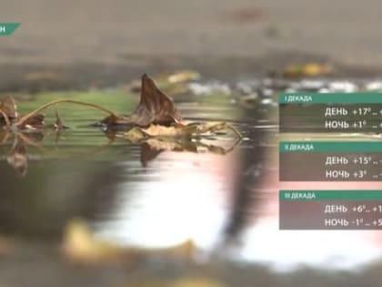 Ещё тепло, но уже с заморозками. Прогноз на сентябрь