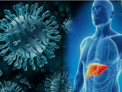 Коварный гепатит С может привести к циррозу  или раку печени