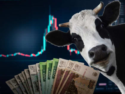 Жительница Хакасии продала корову, чтобы разбогатеть