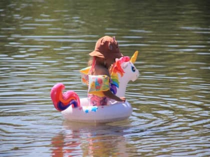 Купание под запретом: кишечную палочку нашли в воде у городского пляжа в Абакане