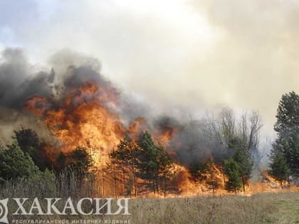 Леса Хакасии продолжают гореть
