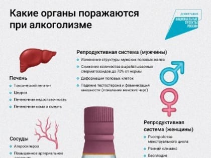 11 сентября - День трезвости