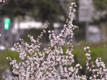 Жаркие выходные ждут абаканцев