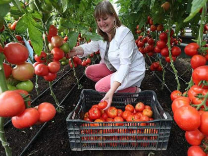 Известный медик перечислил продукты для защиты от рака