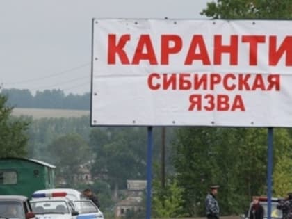 Профилактике сибирской язвы