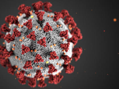 Коронавирус не унимается, число заболевших растёт