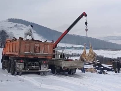 В Бограде завершаются мероприятия по утилизации скота