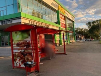 Ищут очевидцев: в Абакане пенсионерку убило остановкой