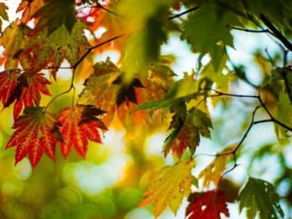 Погода в Хакасии 25 сентября: Приходит осень