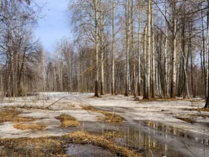 Погода в Хакасии 17 марта: Солнце светит во всю мочь