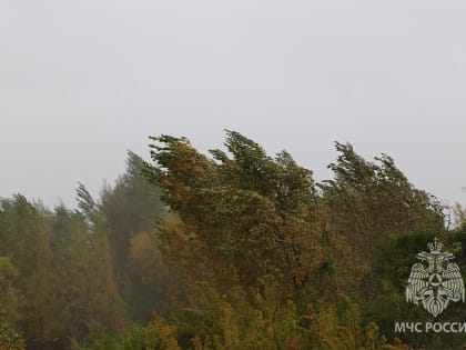 Штормовой ветер прогнозируют в Хакасии. Возможно осложнение пожарной обстановки.