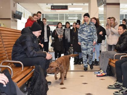 В Хакасии транспортные полицейские рассказали студентам о службе и предупредили о вредоносной информации