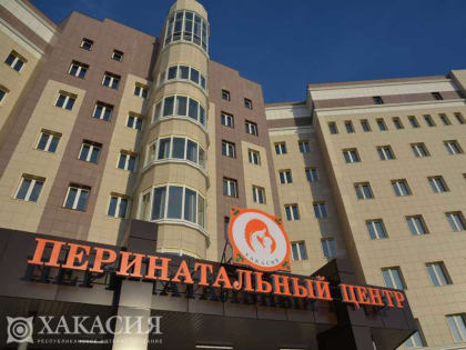 В первые часы нового года в Хакасии родились две девочки