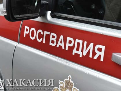 Пьянство жительницы Абакана на школьной территории закончилось задержанием