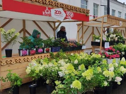 День помидора празднуют в Минусинске