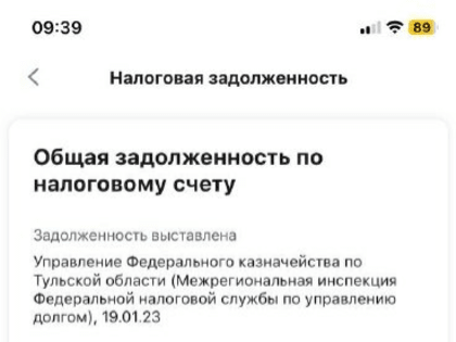Госуслуги просят абаканцев оплатить чужие налоги