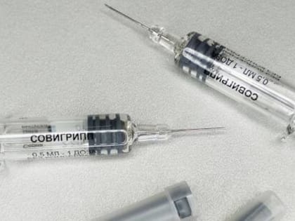 В медучреждениях Хакасии началась прививочная кампания против гриппа