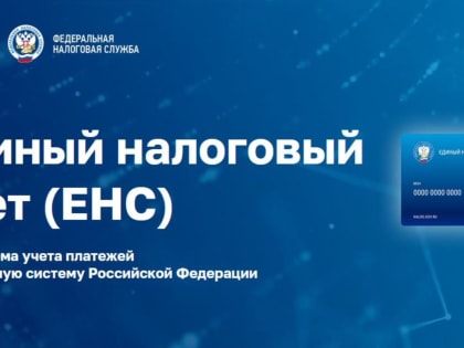 Как проверить, все ли платежи учтены на ЕНП и как они распределились по обязательствам