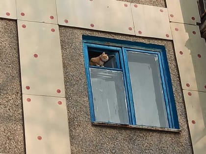 Закон о тишине, разработанный в Хакасии, получил одобрение экспертного совета