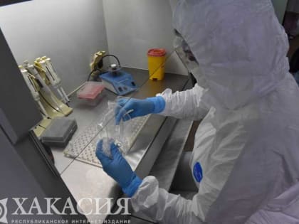 50 человек заразились коронавирусом за сутки в Хакасии