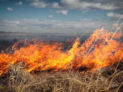 Жителей Хакасии предупредили об опасности ландшафтных пожаров