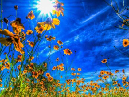 Погода в Хакасии 27 июля: Солнечно и тепло