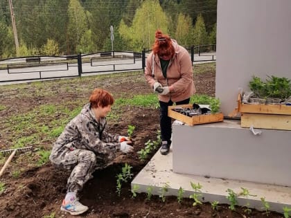 В Абазе продолжаются мероприятия по благоустройству и озеленению.