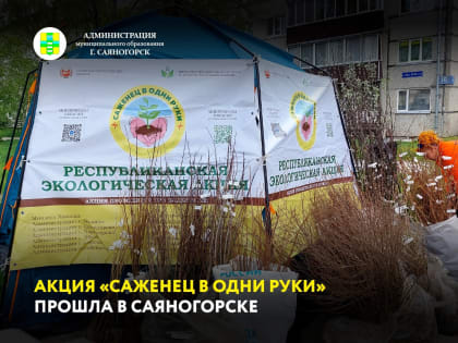 По Республике Хакасия проходит акция «Саженец в одни руки». Сегодня она состоялась и в Саяногорске