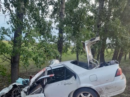 На Аскизском тракте водитель легковушки врезался в лошадь с жеребенком