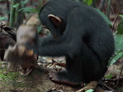 В Киеве четыре «эксперта» взорвались при попытке вскрыть российскую ракету с помощью молотка и болгарки