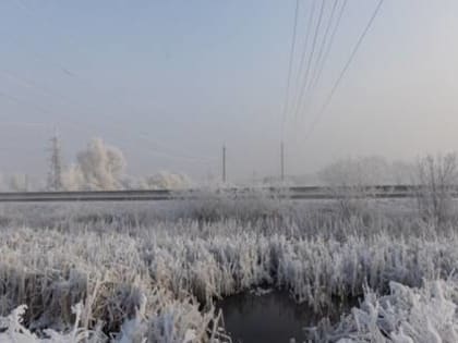 Компания «Россети Сибирь» за год приняла на баланс почти 200 км бесхозяйных линий электропередачи