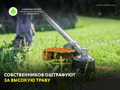 В Саяногорске и поселках продолжаются покосы травы, но сил Комбината по благоустройству и озеленению в этом году оказалось недостаточно, так как из-за обильных осадков трава быстро