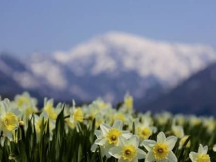 Погода в Хакасии 29 марта: Тепло и ясно