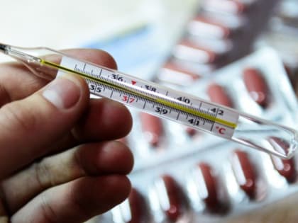 Гриппом в Хакасии болеют, в основном, дети до 6 лет